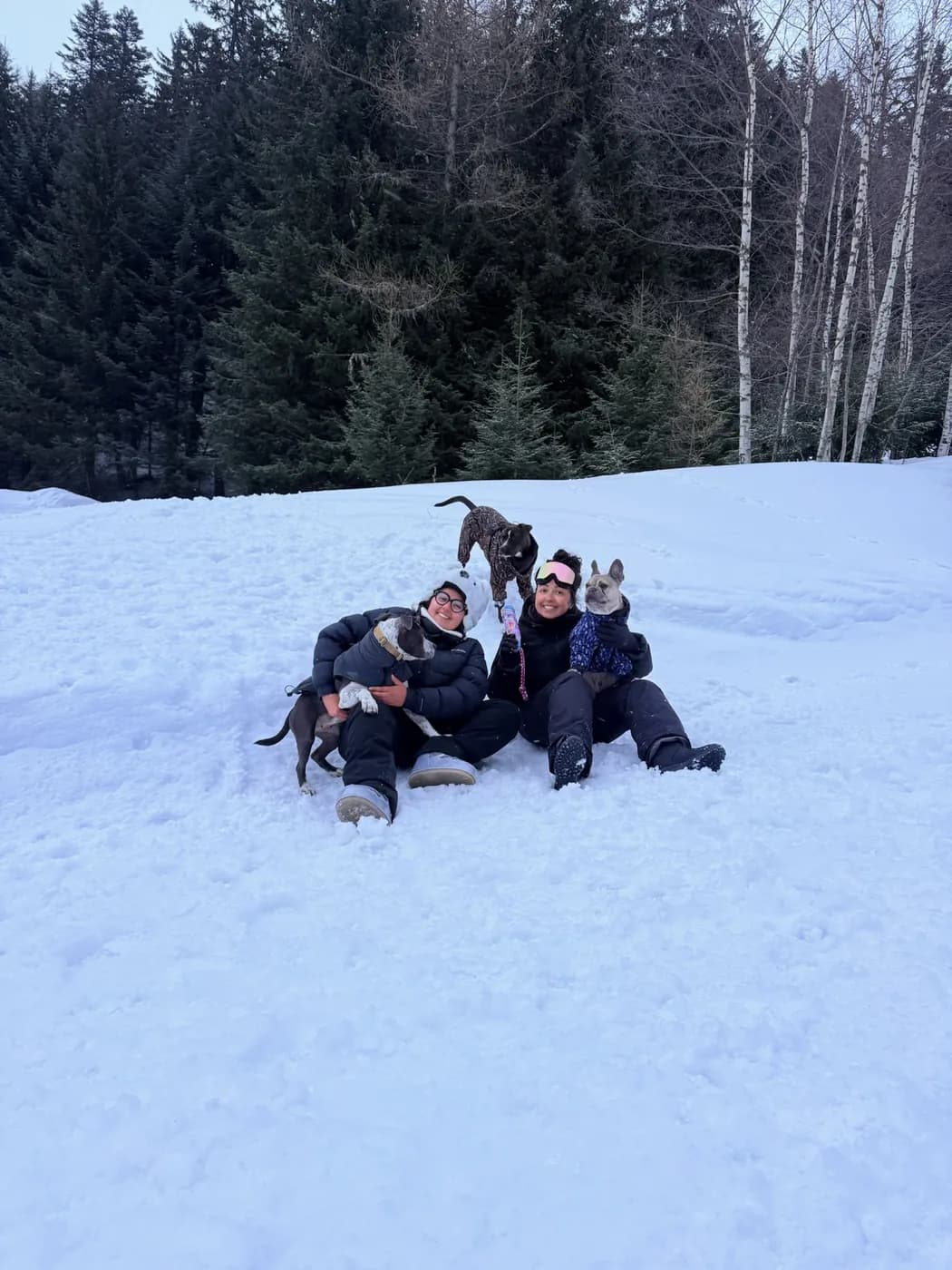 Séjour à la montagne