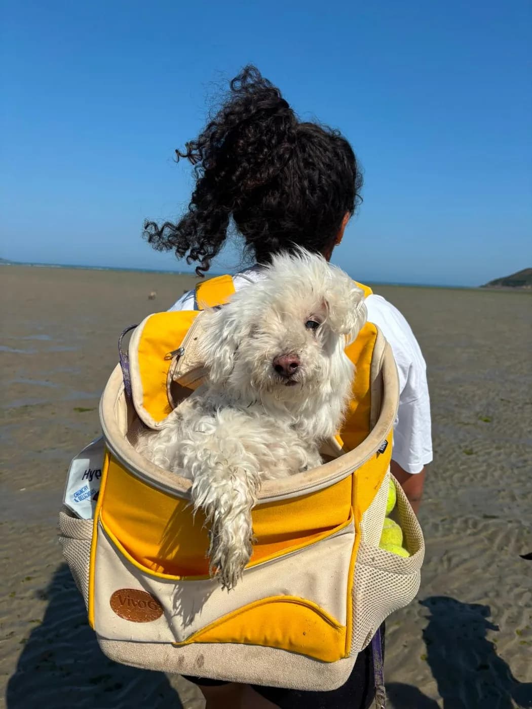 Transport des petits gabarits