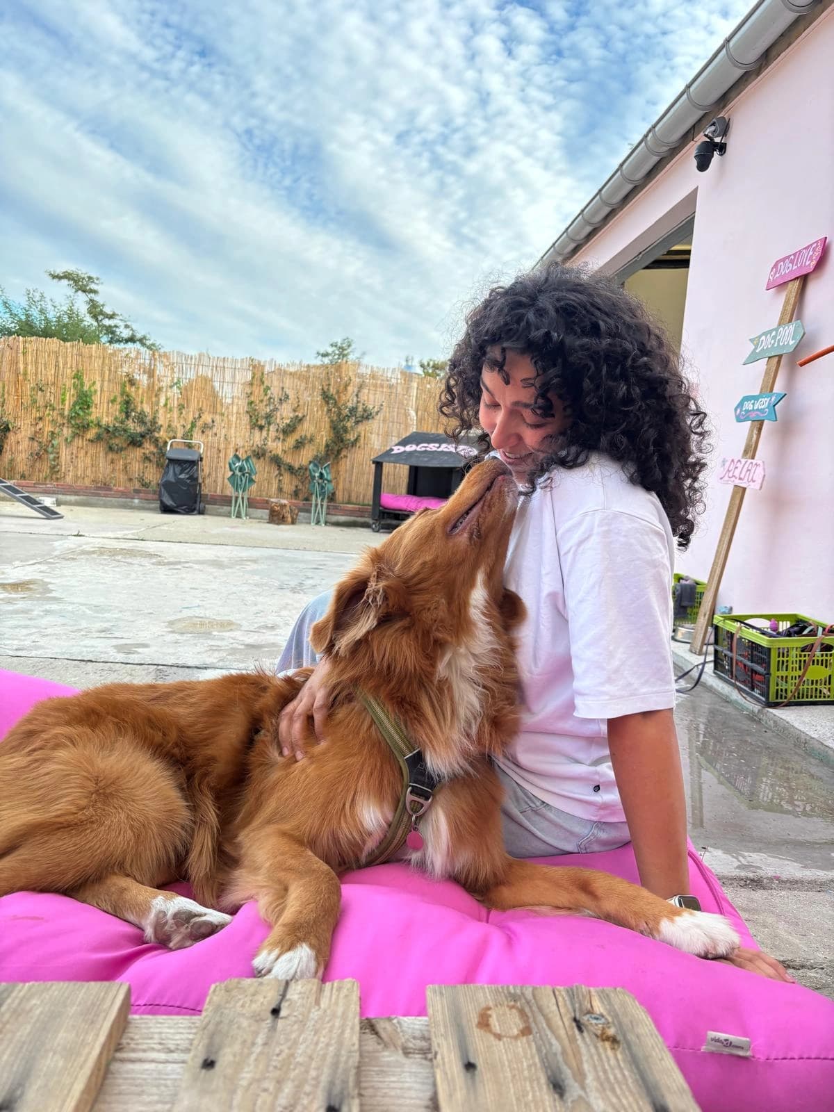 Hanna avec un golden retriever roux sur un matelas rose dans la cour