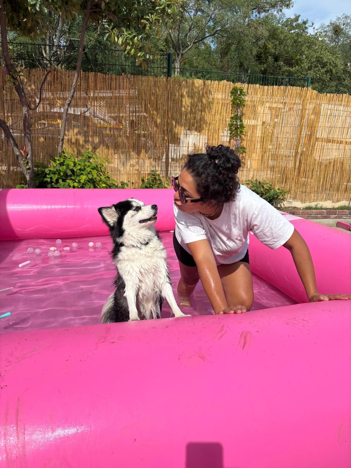 Hanna et un border collie au bord de la piscine rose