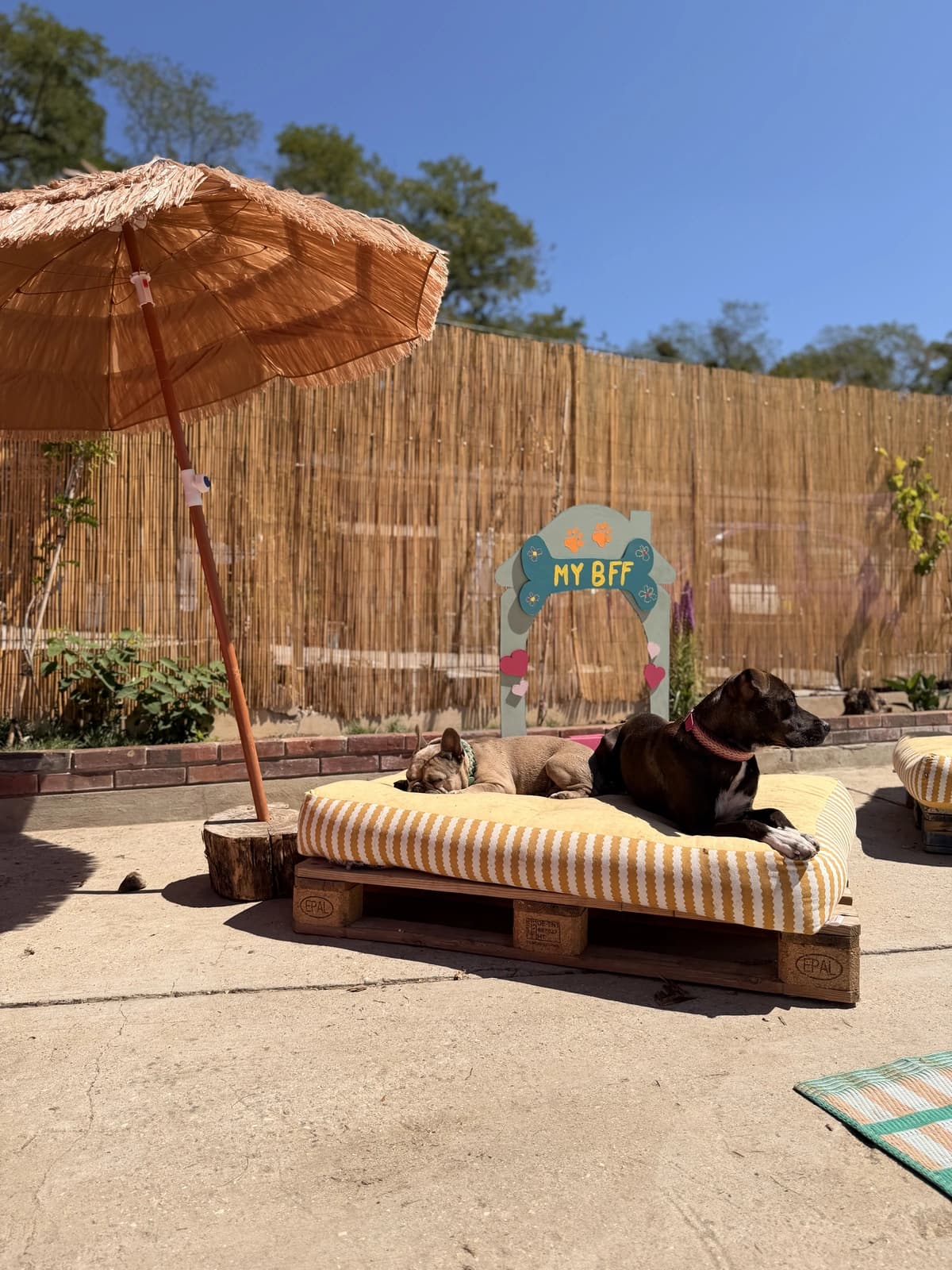 Le jardin du local, transats et parasol à l'ombre