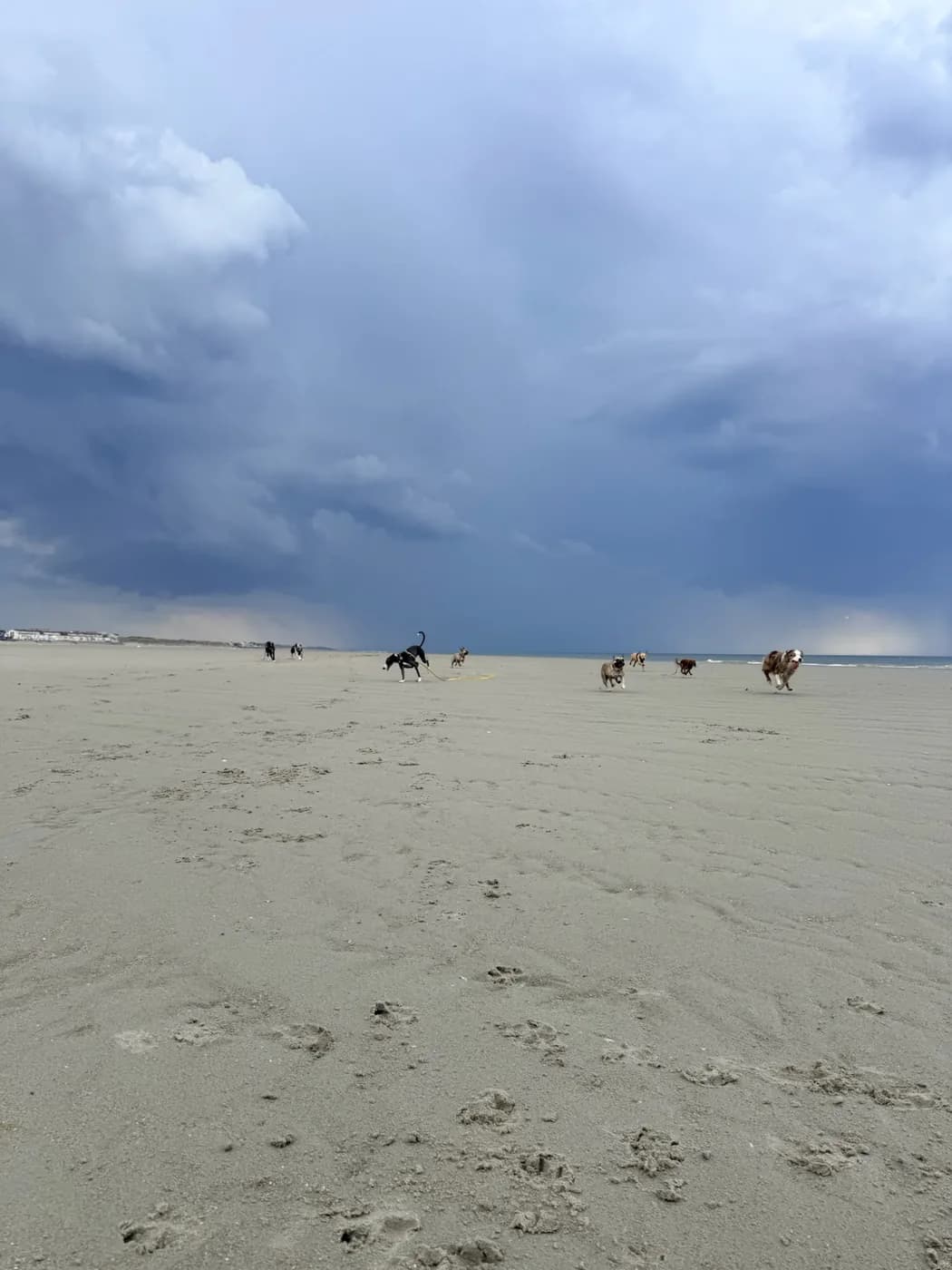 Balade sur la plage sous un ciel d'orage
