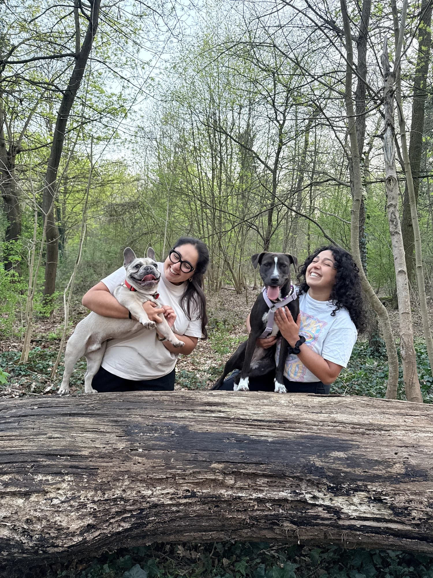 Sarah et Hanna posent en forêt avec un bouledogue et un staffie, derrière un tronc