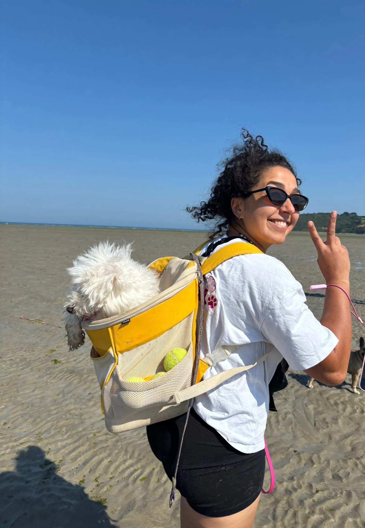 Une accompagnatrice porte un petit chien blanc dans un sac à dos jaune sur la plage