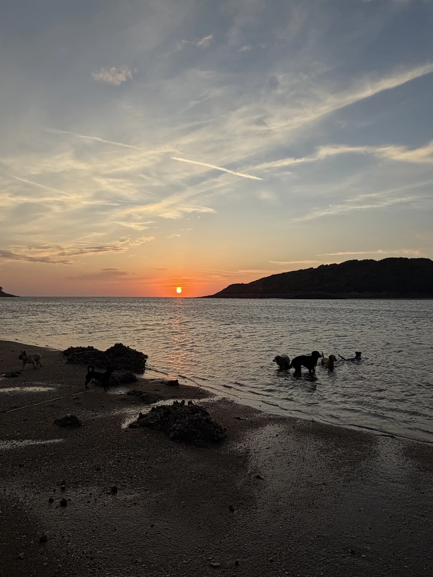 Coucher de soleil sur la mer, des chiens au loin