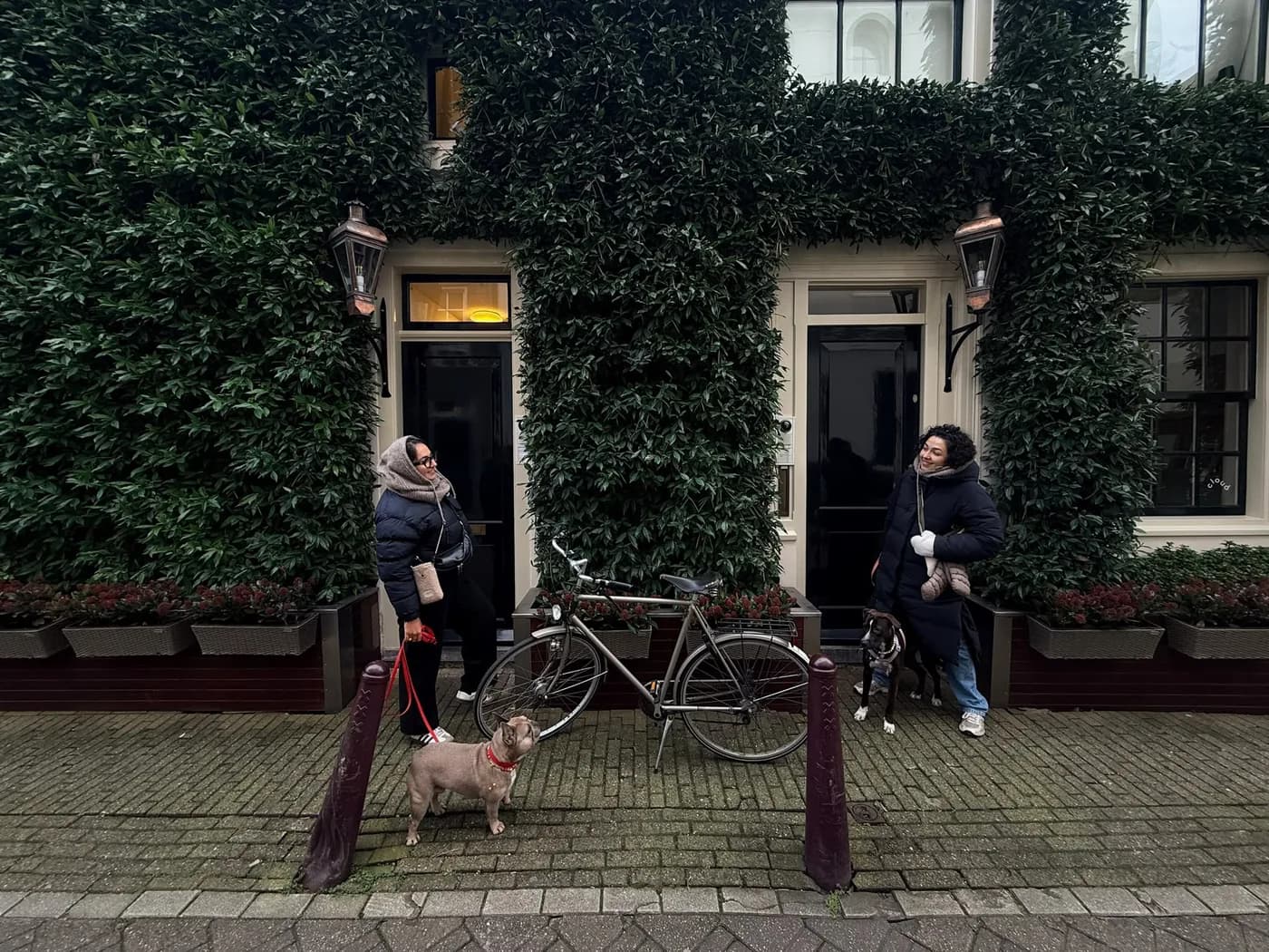 La façade du local DogSister à Fontenay-sous-Bois